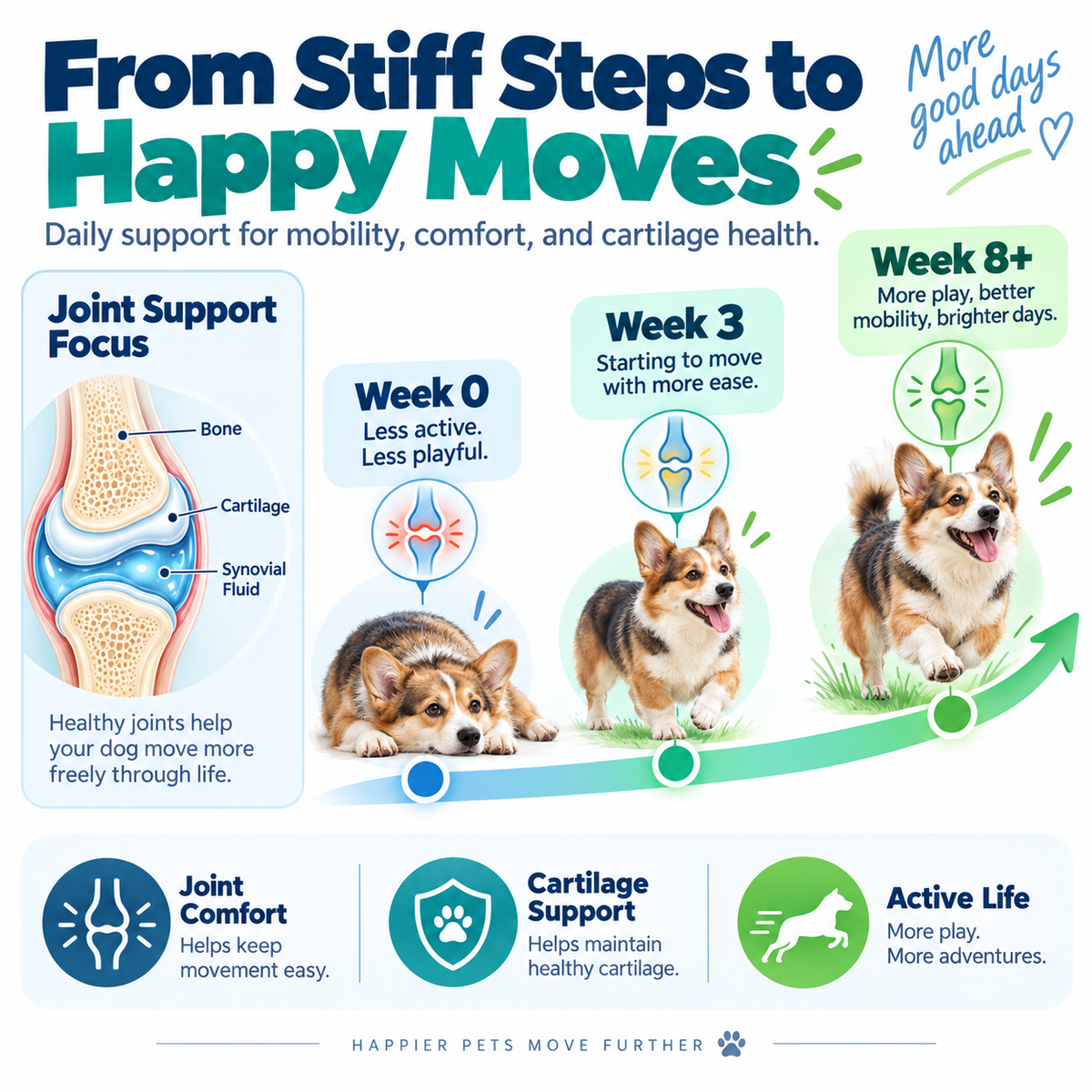 🐶Shark Chondroitin Joint Chews for Dogs | Premium Joint Support for Healthy Mobility-H1