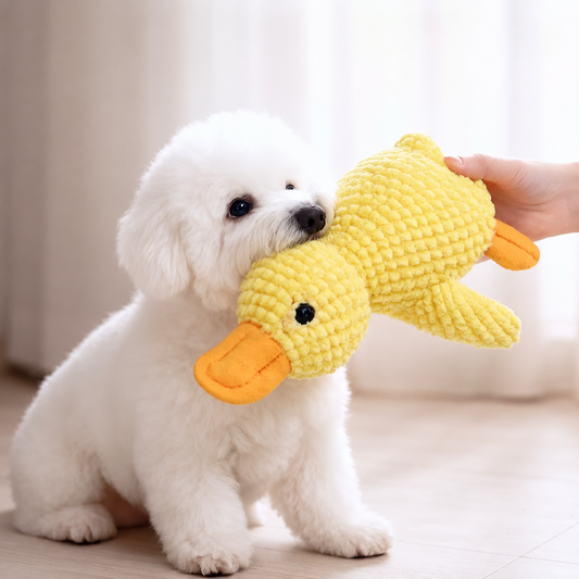 Snuggle Plush Toy for Dogs & Puppies
