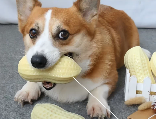 Snuggle Plush Toy for Dogs & Puppies